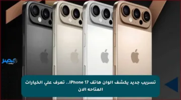 تسريب جديد يكشف ألوان هاتف iPhone 17.. تعرف على الخيارات المتاحة الآن